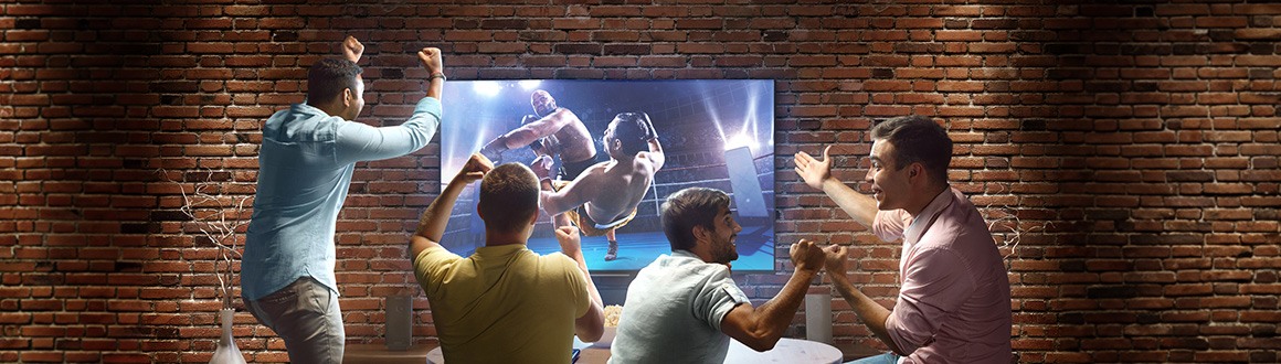 Sports fans watch a UFC fight on a TV at a bar.